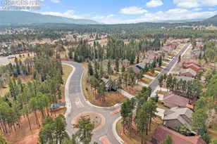 1101 Ptarmigan Dr, Woodland Park, CO 80863 - Photo 46