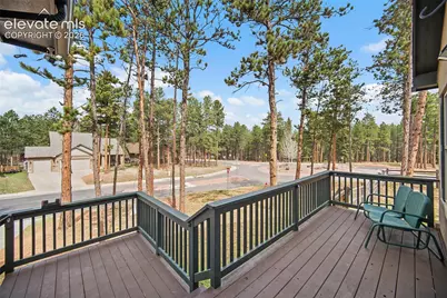 1101 Ptarmigan Drive, Woodland Park, CO 80863 - Photo 8