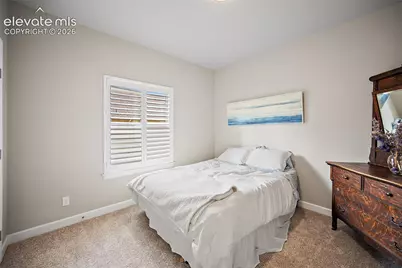 1101 Ptarmigan Drive, Woodland Park, CO 80863 - Photo 28