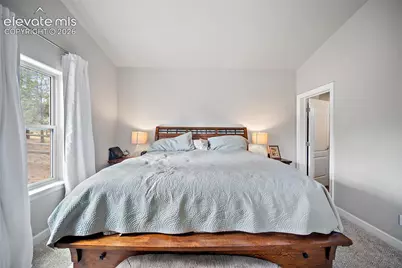 1101 Ptarmigan Drive, Woodland Park, CO 80863 - Photo 16