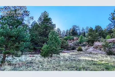 83 Penrose Circle, Cripple Creek, CO 80813 - Photo 10
