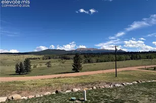 538 Friar Tuck Dr, Divide, CO 80814 - Photo 44