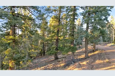 1289 Yorktown Road, Cripple Creek, CO 80813 - Photo 16