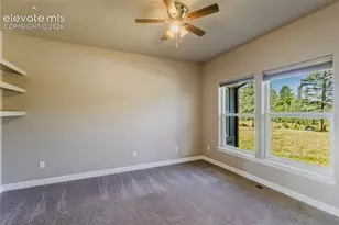 407 Silvermoon Hts, Divide, CO 80814 - Photo 10