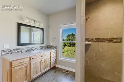 407 Silvermoon Heights, Divide, CO 80814 - Photo 24