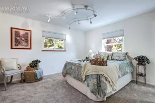 101 Raven Hills Ct, Colorado Springs, CO 80919 - Photo 22
