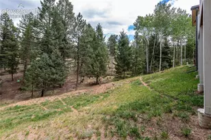 1427 N Mountain Estates Rd, Florissant, CO 80816 - Photo 44