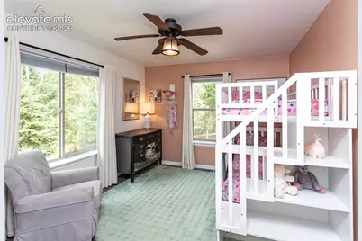 1427 N Mountain Estates Road, Florissant, CO 80816 - Photo 34