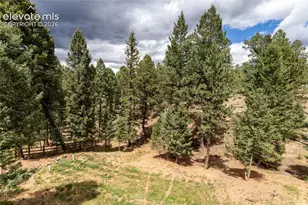 1427 N Mountain Estates Rd, Florissant, CO 80816 - Photo 42