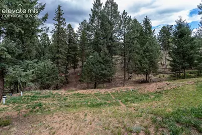 1427 N Mountain Estates Road, Florissant, CO 80816 - Photo 8