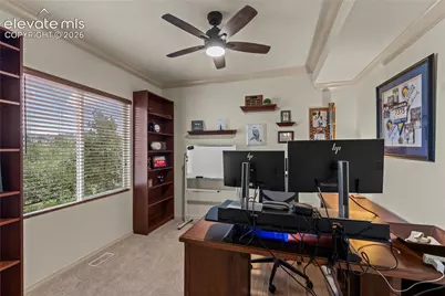 254 All Sky Drive, Colorado Springs, CO 80921 - Photo 16