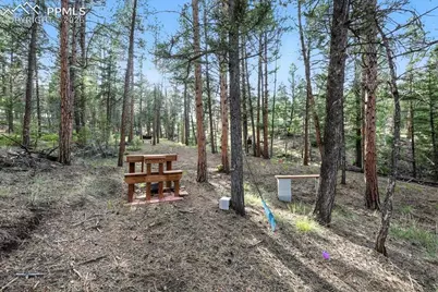 1721 Wildhorn Road, Florissant, CO 80816 - Photo 42