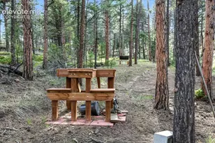 1721 Wildhorn Rd, Florissant, CO 80816 - Photo 42