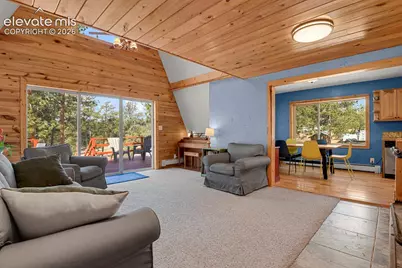 881 Trail Creek Road, Lake George, CO 80827 - Photo 8