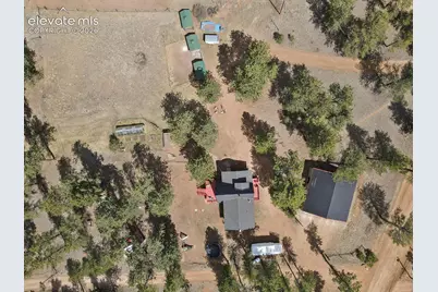 881 Trail Creek Road, Lake George, CO 80827 - Photo 4