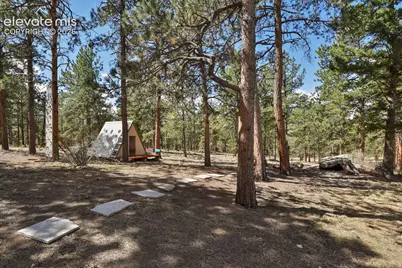 881 Trail Creek Road, Lake George, CO 80827 - Photo 34