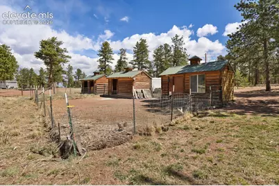 881 Trail Creek Road, Lake George, CO 80827 - Photo 36