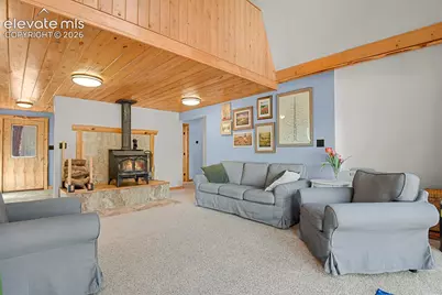 881 Trail Creek Road, Lake George, CO 80827 - Photo 10