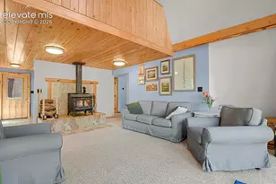 881 Trail Creek Rd, Lake George, CO 80827 - Photo 10