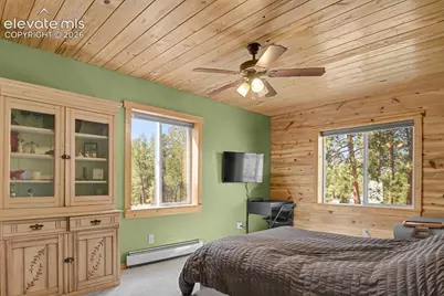 881 Trail Creek Road, Lake George, CO 80827 - Photo 16