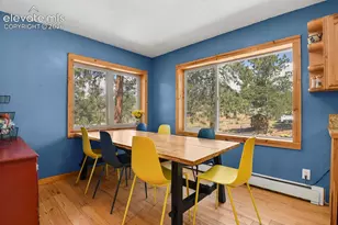 881 Trail Creek Rd, Lake George, CO 80827 - Photo 12