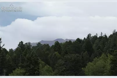 149 Will Scarlet Drive, Divide, CO 80814 - Photo 6