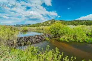 224 Lakeview Frst Hts, Florissant, CO 80816 - Photo 38