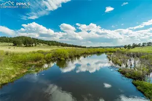 224 Lakeview Frst Hts, Florissant, CO 80816 - Photo 4