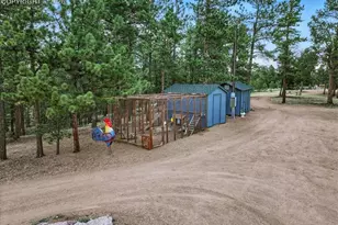 1721 Wildhorn Rd, Florissant, CO 80816 - Photo 42