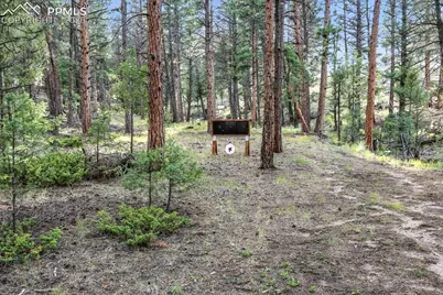 1721 Wildhorn Road, Florissant, CO 80816 - Photo 46