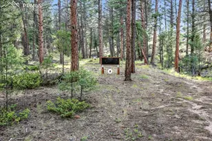 1721 Wildhorn Rd, Florissant, CO 80816 - Photo 46