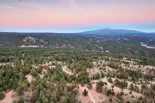 1721 Wildhorn Rd, Florissant, CO 80816 - Photo 1