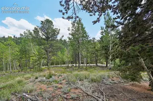 2659 Edlowe Rd, Woodland Park, CO 80863 - Photo 26