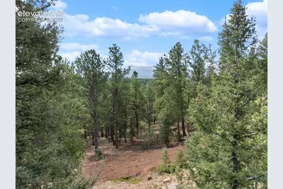 422 Spring Valley Drive, Divide, CO 80814 - Photo 22
