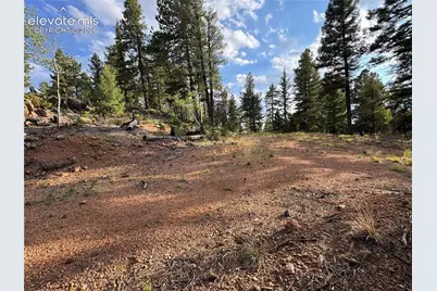 422 Spring Valley Drive, Divide, CO 80814 - Photo 4