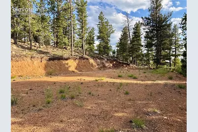 422 Spring Valley Drive, Divide, CO 80814 - Photo 2