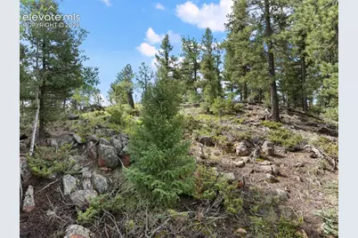422 Spring Valley Drive, Divide, CO 80814 - Photo 24