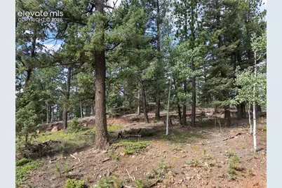 422 Spring Valley Drive, Divide, CO 80814 - Photo 12
