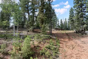 422 Spring Valley Dr, Divide, CO 80814 - Photo 1