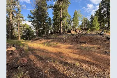 422 Spring Valley Drive, Divide, CO 80814 - Photo 28