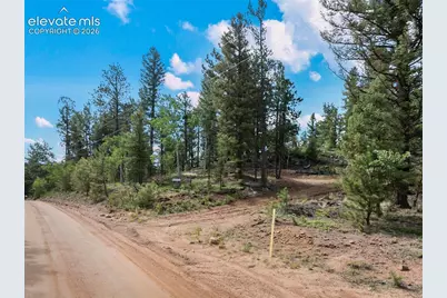 422 Spring Valley Drive, Divide, CO 80814 - Photo 10