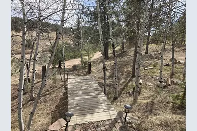 875 Obsidian Drive, Florissant, CO 80816 - Photo 6