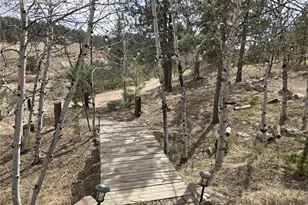 875 Obsidian Dr, Florissant, CO 80816 - Photo 6