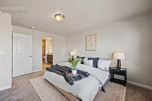 11447 Rill Pt, Colorado Springs, CO 80921 - Photo 16