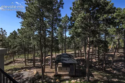 16021 Fox Mesa Court, Monument, CO 80132 - Photo 22