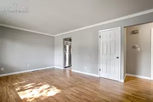 1115 Livingston Ave, Colorado Springs, CO 80906 - Photo 8