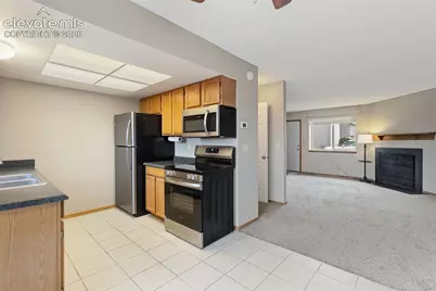 1359 Soaring Eagle Drive, Colorado Springs, CO 80915 - Photo 18