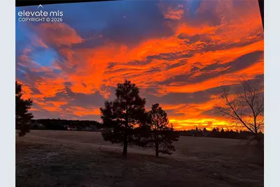 17067 Blue Mist Grove, Monument, CO 80132 - Photo 24