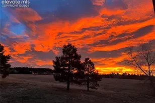 17067 Blue Mist Grove, Monument, CO 80132 - Photo 24