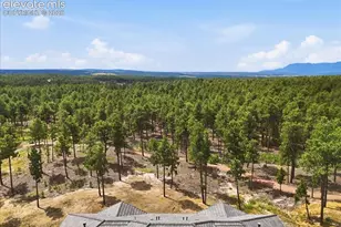 3135 Promise Pt, Colorado Springs, CO 80921 - Photo 14